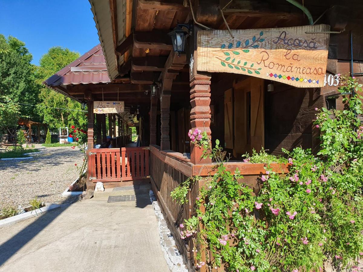 La Romaneasa Săpînţa Buitenkant foto