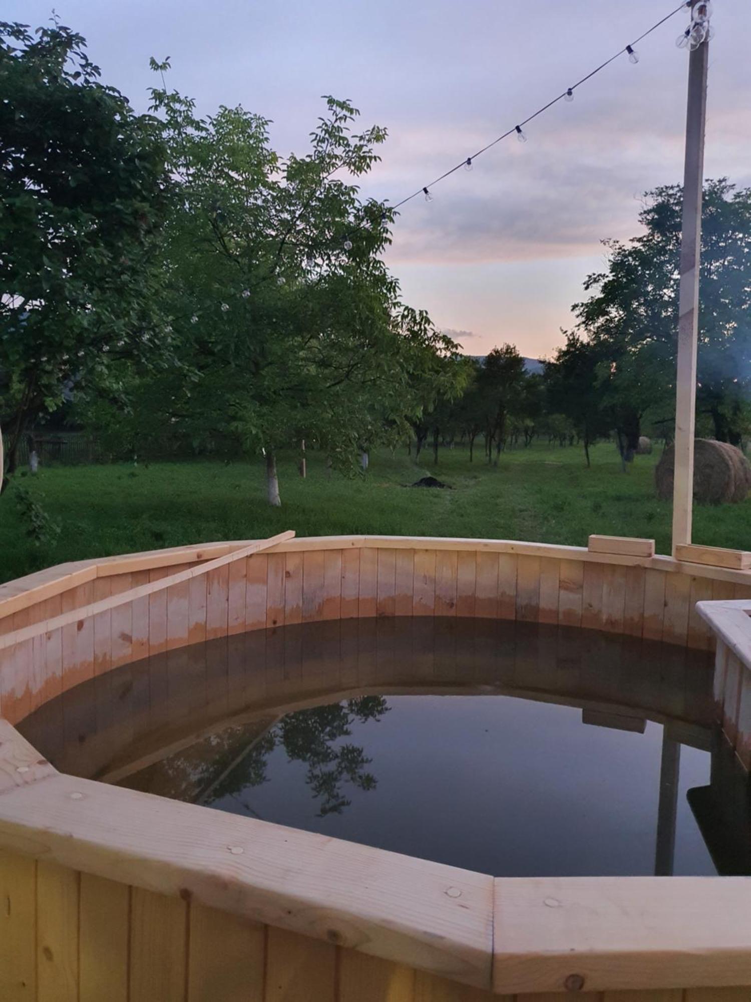 La Romaneasa Săpînţa Buitenkant foto
