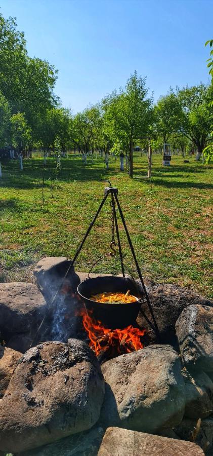 La Romaneasa Săpînţa Buitenkant foto