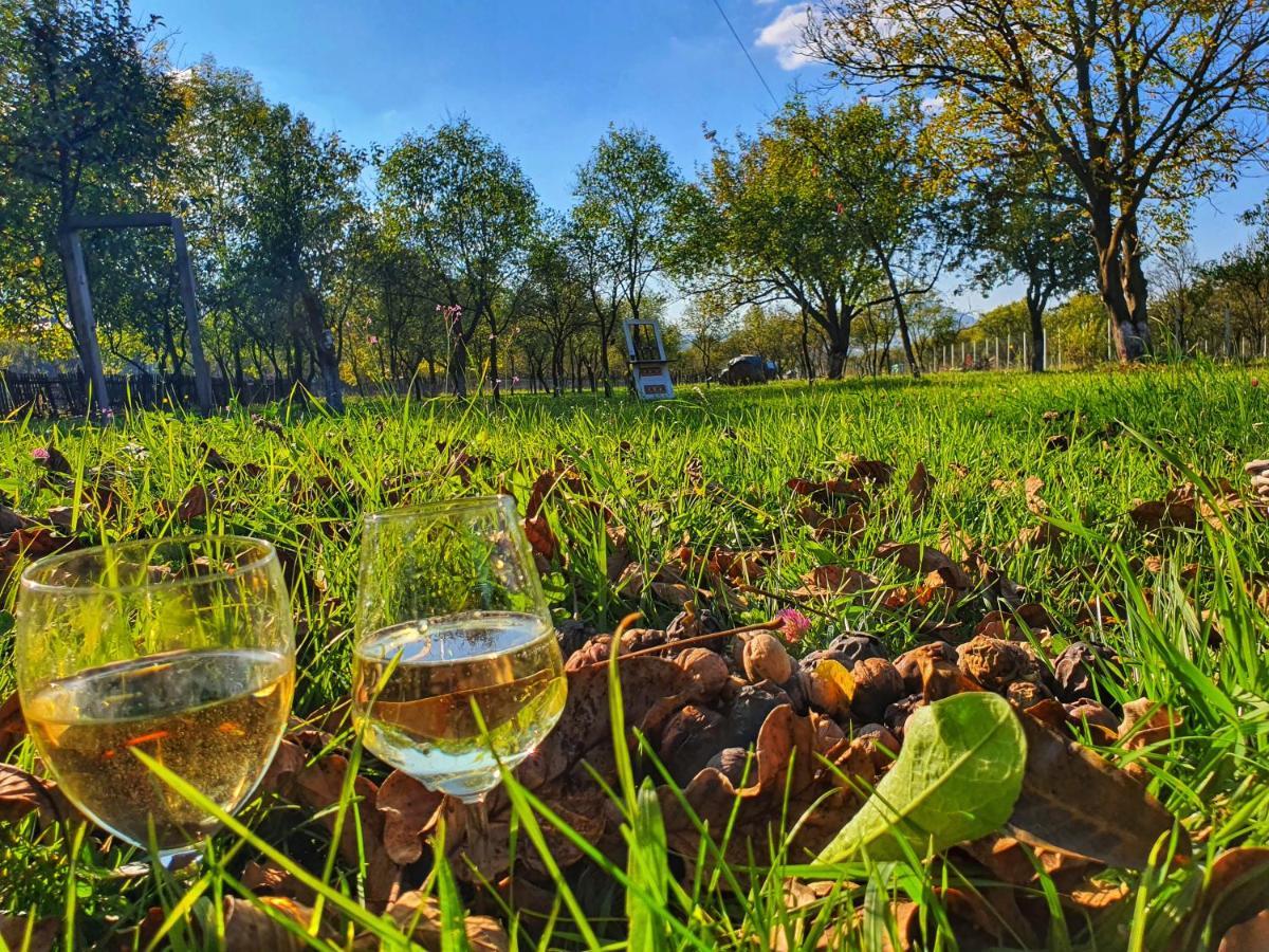 La Romaneasa Săpînţa Buitenkant foto