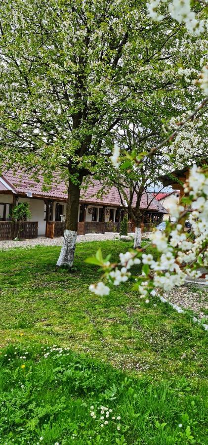 La Romaneasa Săpînţa Buitenkant foto